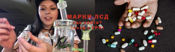 PSILOCYBIN Абдулино