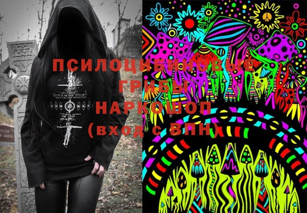 PSILOCYBIN Абдулино