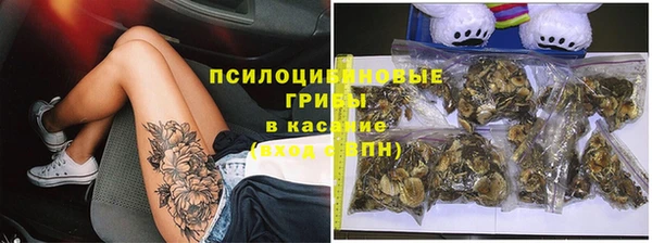 PSILOCYBIN Абдулино