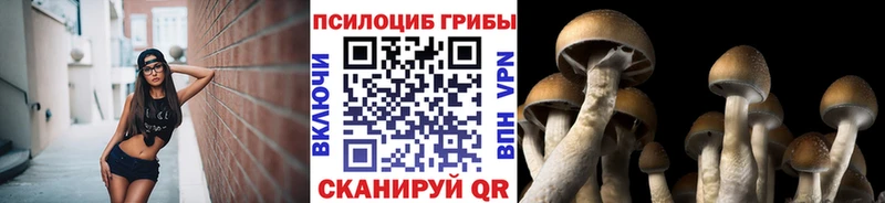 Галлюциногенные грибы ЛСД  купить закладку  Стрежевой 