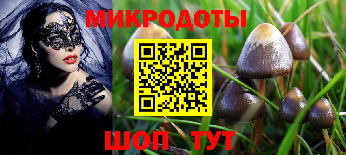 Галлюциногенные грибы MAGIC MUSHROOMS Стрежевой