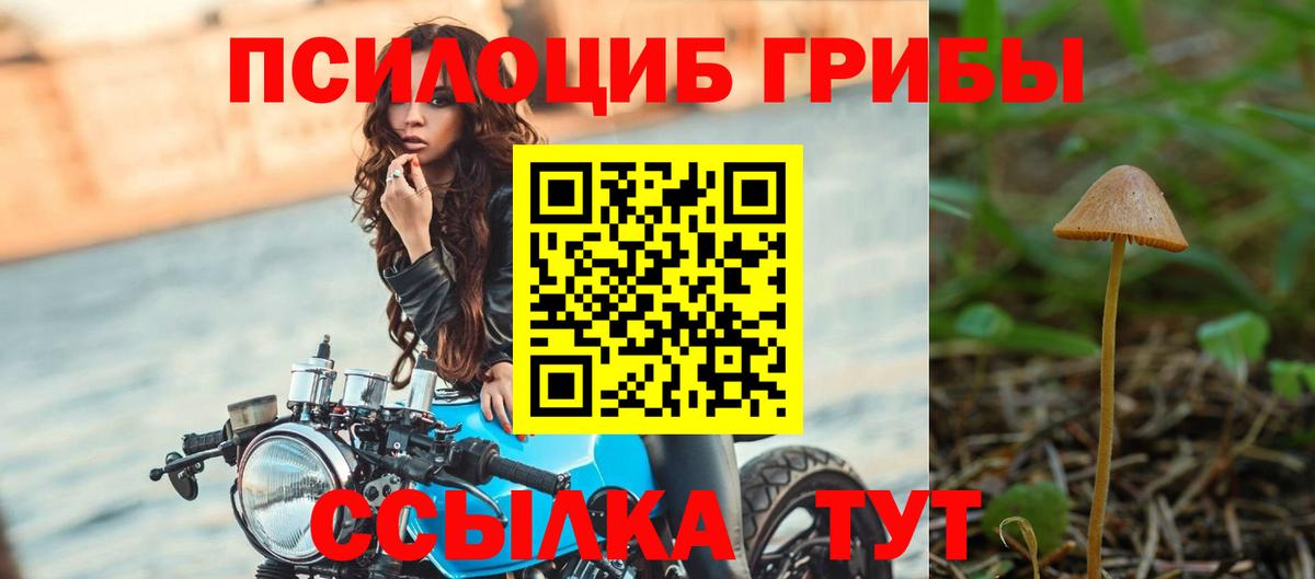 Псилоцибиновые грибы Psilocybe  Вход с VPN  Стрежевой 